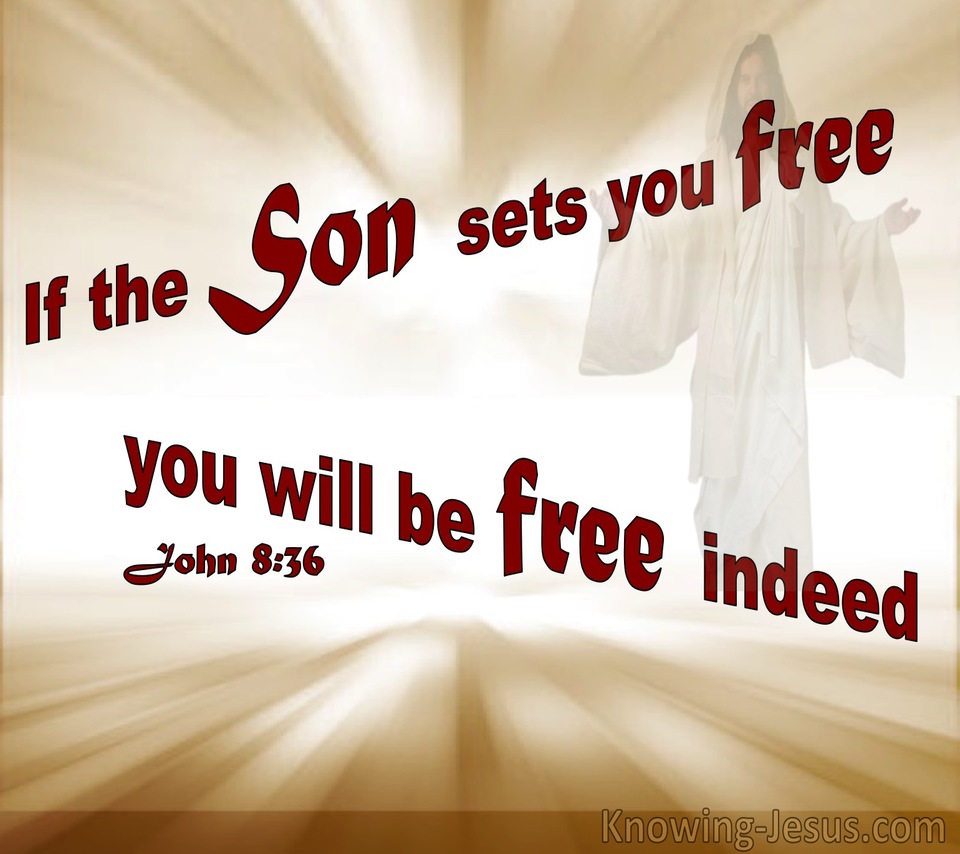 John 8:36 If The Son Sets You Free You Are Free Indeed (yellow)